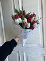 Букет из 25 классических белых и красных тюльпанов