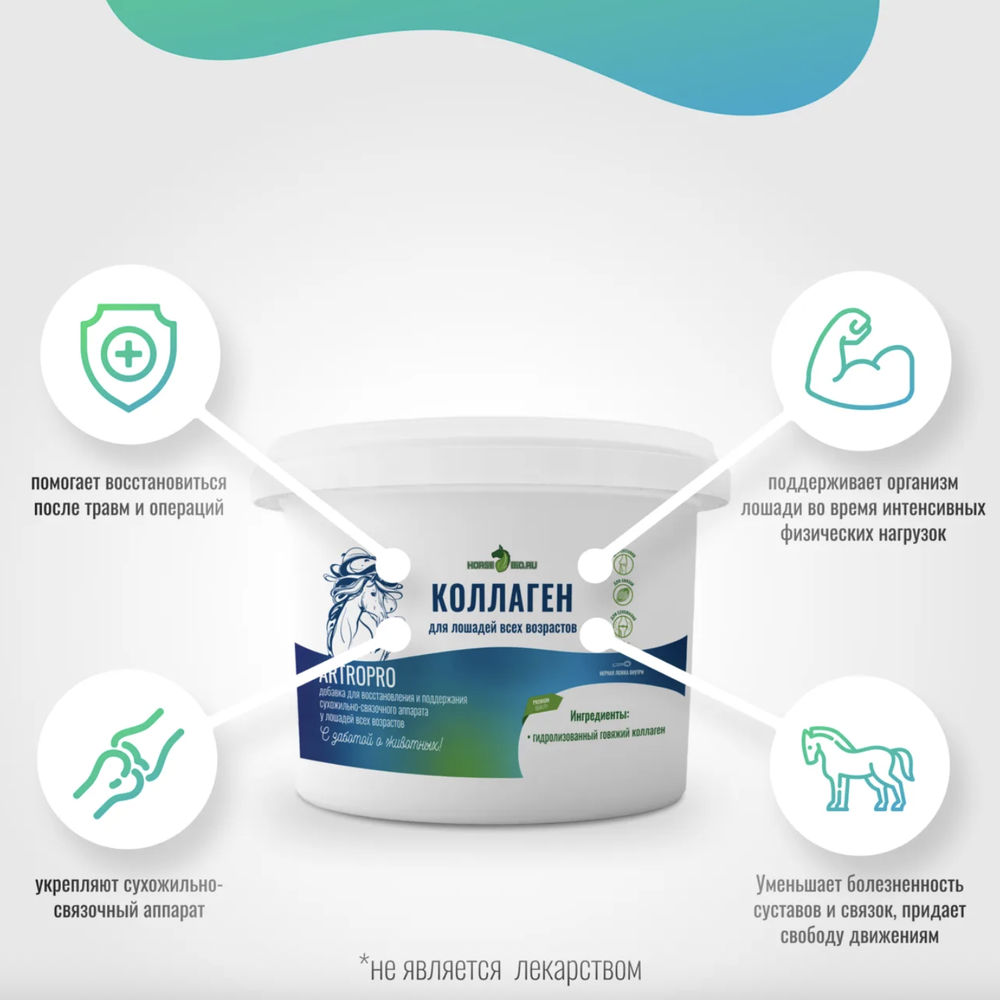 Подкормка для суставов и связок КОЛЛАГЕН ArtroPro для лошадей Horse-Bio, 600 г