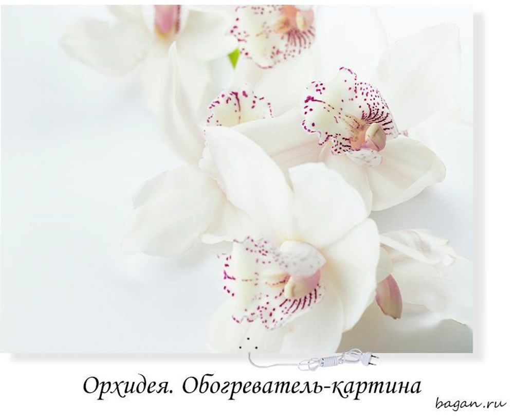 Инфракрасный обогреватель-картина РЭН-5 "Орхидея", 0,5 кВт