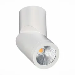 ST650.542.10 Светильник потолочный Белый LED 1*10W 4000K 800Lm Ra>90 38° IP44 D62xH151 165-265V Накладные светильники