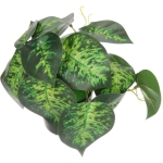 Цветок искусственный в горшке «Диффенбахия» 20*16см гладкий лист