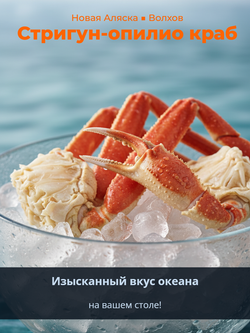Комплект конечностей стригун-опилио краб варено-мороженое 7% 400 гр