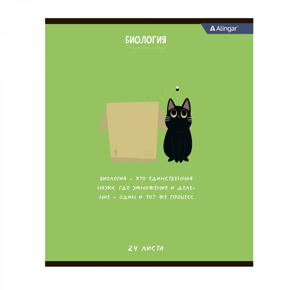 Комплект предметных тетрадей А5 24л., 8 предметов, со справочным материалом, скрепка, мелованный картон (стандарт), блок офсет, Alingar "Чёрный котик"