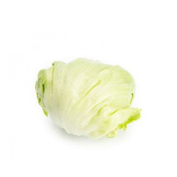 ИЗАНАС семена салата Rijk Zwaan цена – фото 4