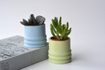 Кашпо для цветов Pilea (под d5)
