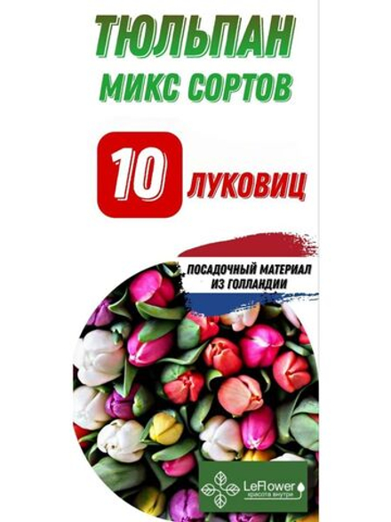 Тюльпан Луковица, Микс сортов, 10шт