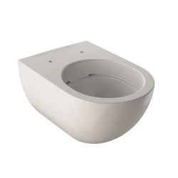 Комплект инсталляции c унитазом Geberit Acanto 500.128.21.A с сиденье микролифтом