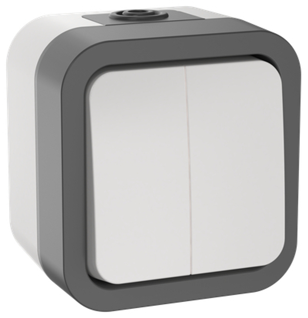 TORS Выключатель двухклавишный 10А IP55 TS205 серо-белый IEK