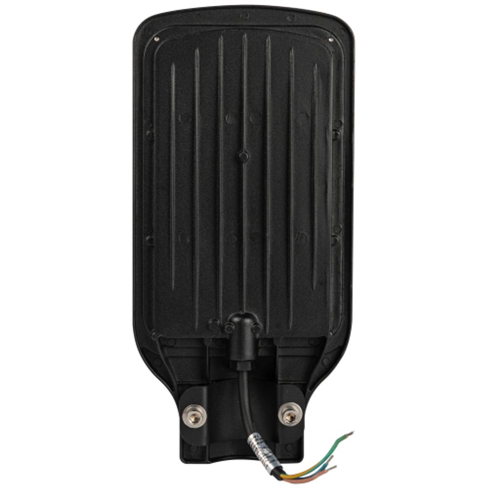 Уличный светильник ЭРА SPP-504-0-50K-050 50Вт 5000лм 5000К IP65 КСС Д DOB SMD 48мм