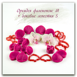 Орхидея фаленопсис M (+боковые лепестки размера S)