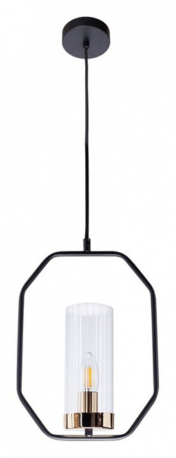 Подвесной светильник Arte Lamp A7004SP-1BK