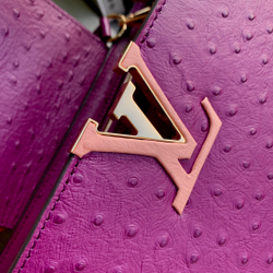 Louis Vuitton Capucines Mini