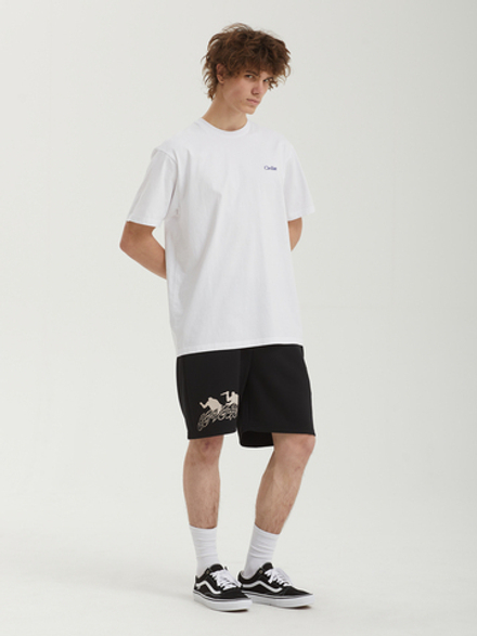 Мужские Шорты Stab Mesh