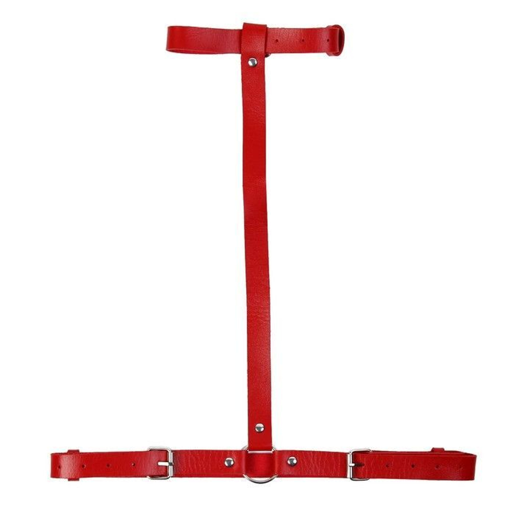 Красная портупея «Оки-Чпоки» с ошейником (Размер: S-M-L) (Цвет: красный)