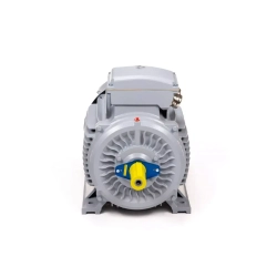 Электродвигатель ESQ PR 225 M2-SDN-Б1-S12-IE3 45/3000 IMB3