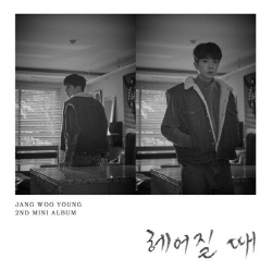 публикация JANG WOO YOUNG - Time To Say Goodbye 2nd Mini Album Making Book