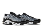 Кроссовки Nike Air Max Plus