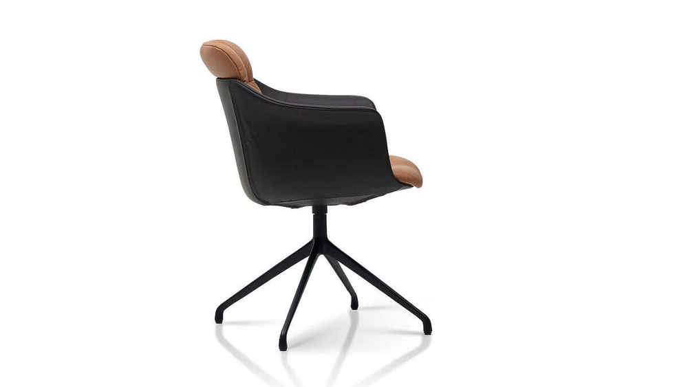 Стул DeSede DS-525/02 Chair
