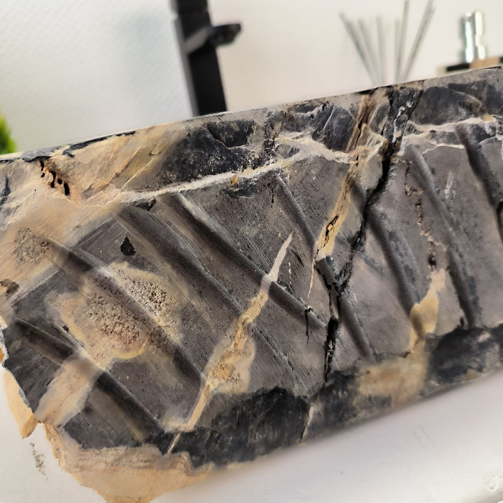 Раковина из окаменелого дерева Fossil Basin OD-02736 51*47*15 см