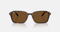 RAY-BAN RAIMOND RB2231-F 902/57