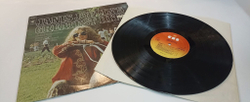 Винтажная виниловая пластинка Janis Joplin Janis Joplins Greatest Hits (Germany 1975)