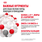 Royal Canin Mini Indoor Adult Корм сухой для взрослых собак мелких размеров живущих в помещении 0,5 кг
