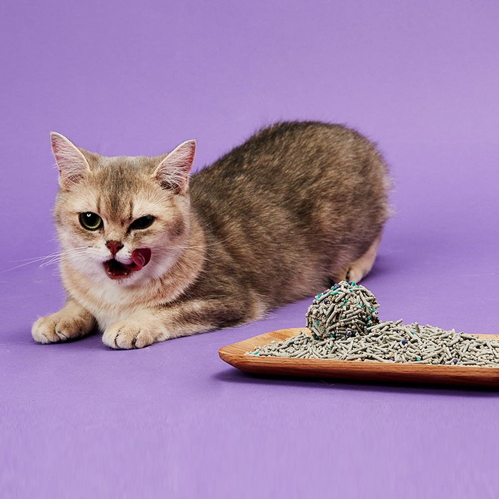 Наполнитель для кошачьего туалета смесь 5в1