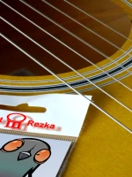 Стикеры - Голубь Отстань