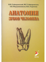 Анатомия зубов человека, 6-е издание, исправленное и дополненное
