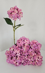 Гортензия / Арт 2098