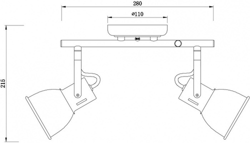 Потолочный светильник Arte Lamp JOVI A1677PL-2GY