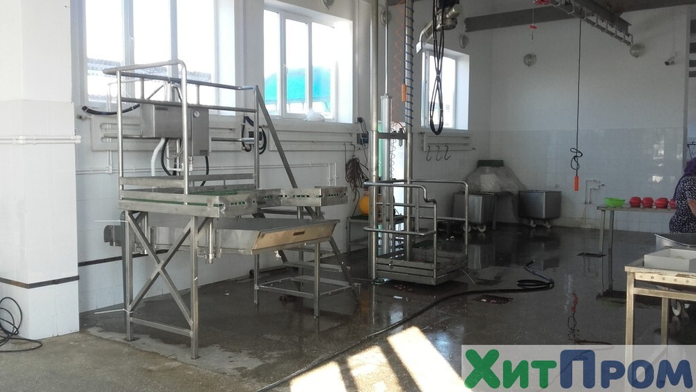 Линия ритуального убоя КРС 50 голов/смена. Ставропольский край