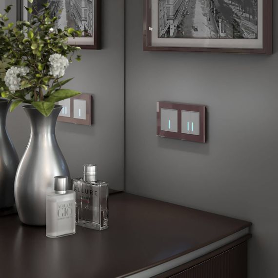 Рамка на 2 поста Werkel Favorit мокко W0021118 4690389159718