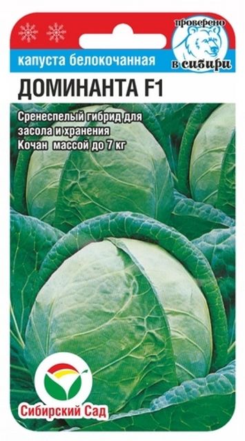 Капуста