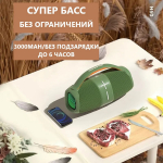 Беспроводная колонка Hopestar H60 (20W+3000Mah/IPX6)