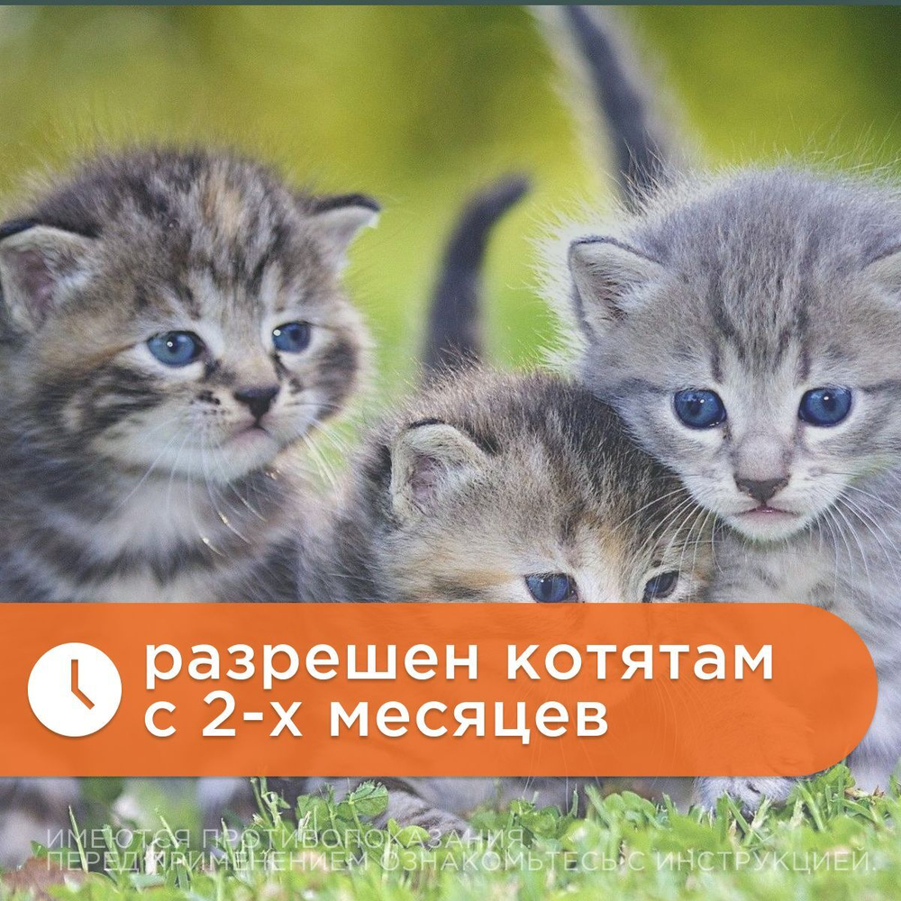 Ошейник от блох и клещей для кошек АВЗ "БАРС" 35см