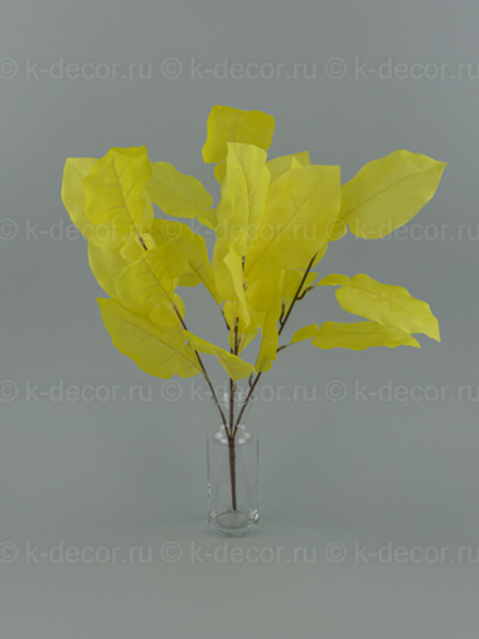 Куст Грейпфрут