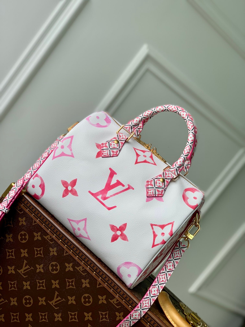 Louis Vuitton Speedy 25