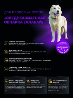 Сухой корм для собак породы Алабай, говядина, 2,5кг