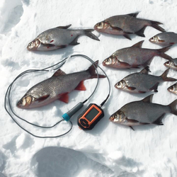 Эхолот Практик 6М