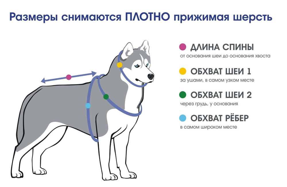 Ездовая шлейка