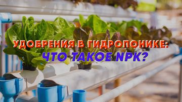 Удобрения в гидропонике: что такое NPK