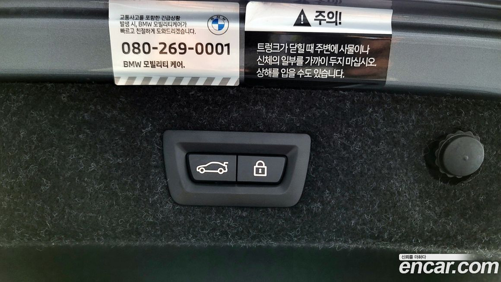 BMW 5 Series (G30) 530i Luxury (01.2023)