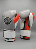 Боксерские перчатки Arcade gray_red_white