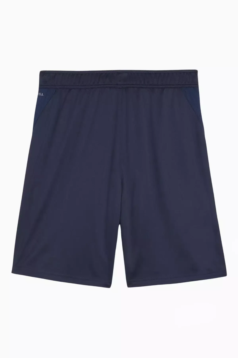 Шорты Puma teamGOAL Training