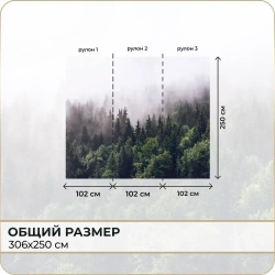 Фотообои 3D Лес в Тумане в спальню, в гостиную, на кухню 300х250