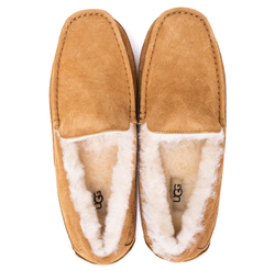 UGG Mens Ascot Chestnut