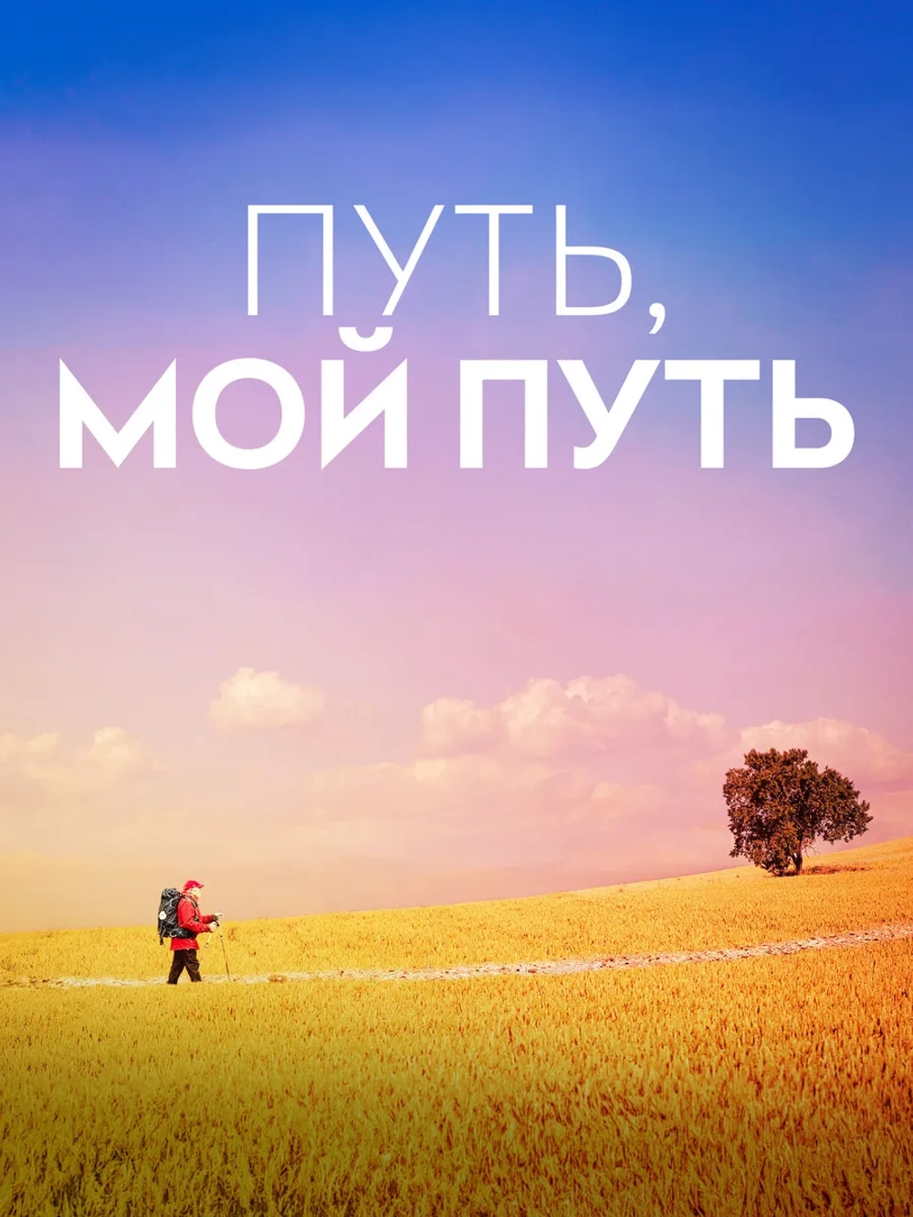 Путь, мой путь (2024) (DVD-R)