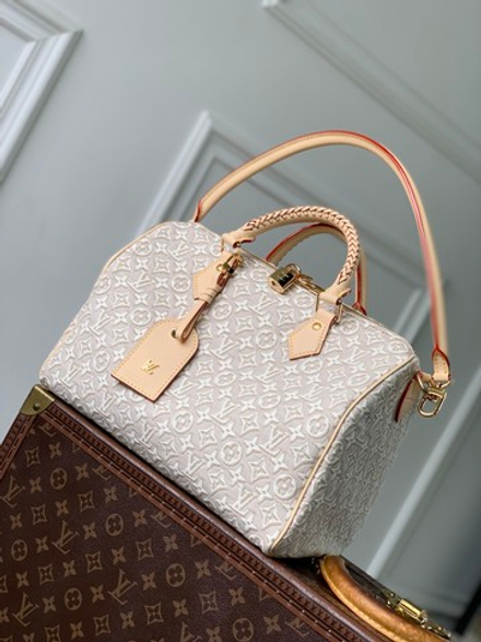 Louis Vuitton Speedy Soft 30