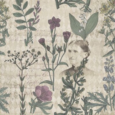 Винтаж цветы листья растения бумага Vintage paper flowers plants